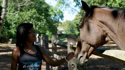 Animal Angels Mords de faim