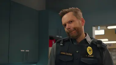 Dogs, bears and minks