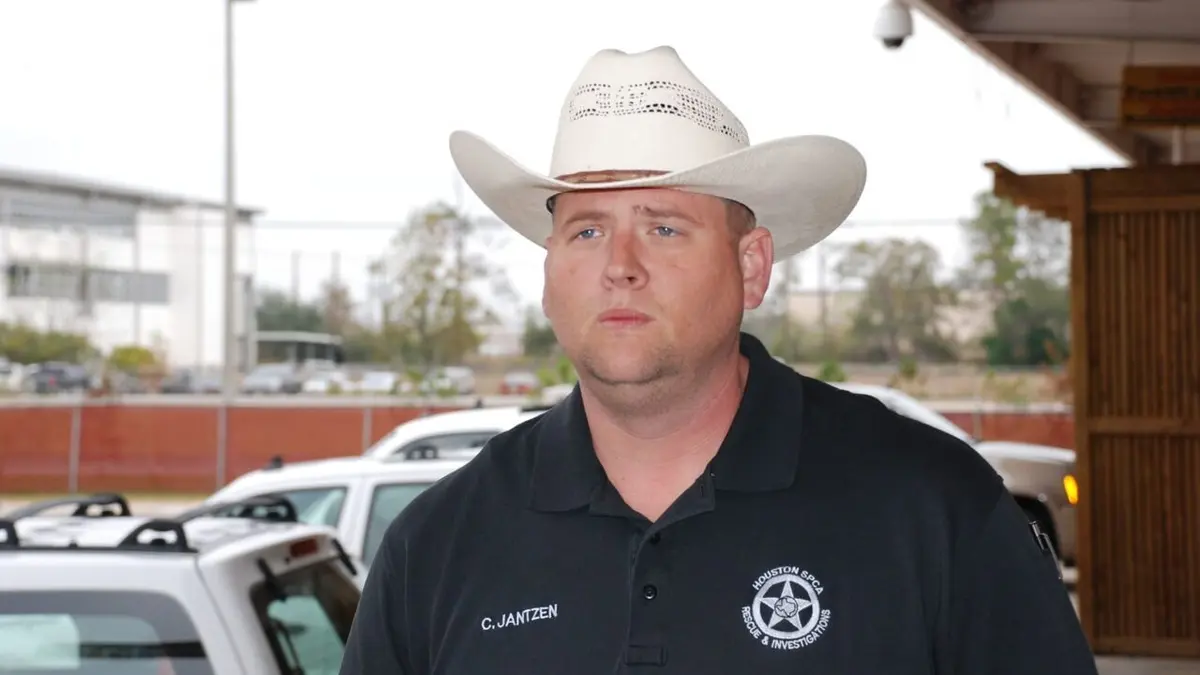 Animal Cops Sous couverture