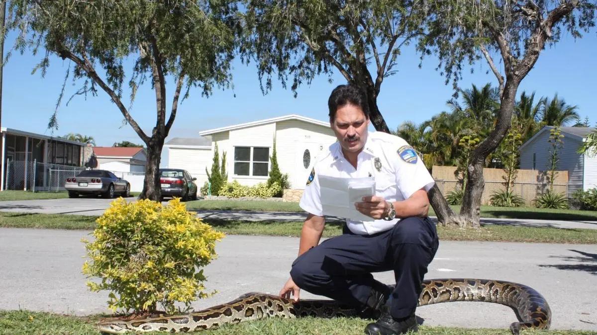 Animal Cops Le plus grand sauvetage