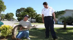 Animal Cops  Un nouveau départ