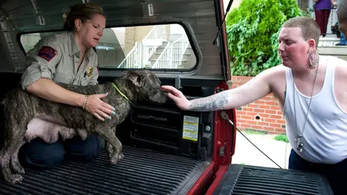 Animal Cops Le combat de Zeus en streaming