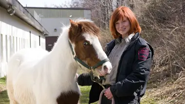 Sauvetage de chevaux