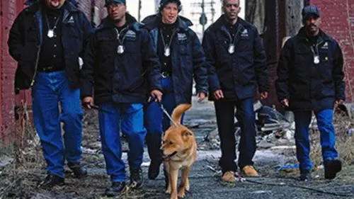 Animal Cops Miami S16E07 La course pour la vie