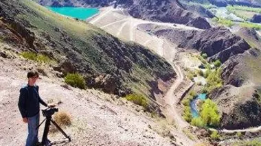 Un poney victime de cruauté