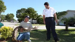 Animal Cops Un nouveau départ