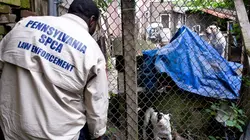 Animal Cops Attaque à la machette