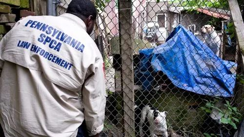 Animal Cops Attaque à la machette