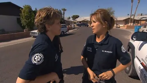 Animal Cops Misère et gale