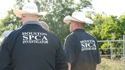Animal Cops Houston