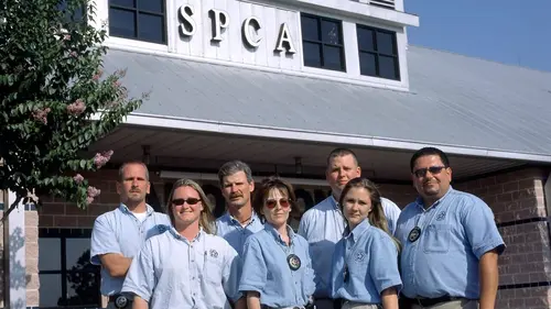 Animal Cops Houston La maison des chats