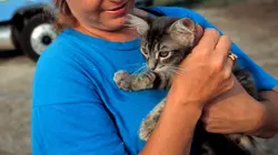 Animal Cops Miami Soif de vie