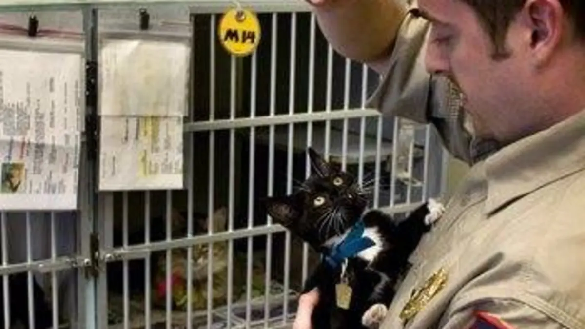 Animal cops Philadelphia S12E05 Vague de chaleur