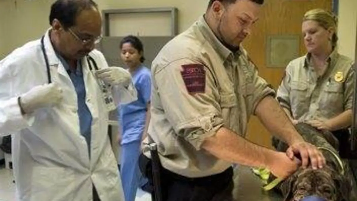 Animal cops Philadelphia S12E06 Mission à haut risque