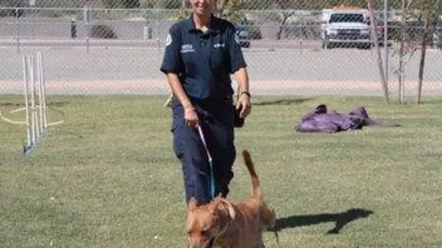 Animal Cops: Phoenix S15E02 Élevage douteux