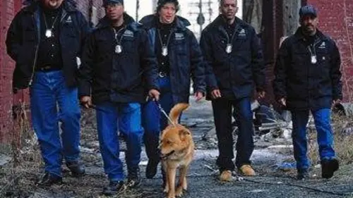 Animal Cops : Phoenix S15E07 Combat de coqs