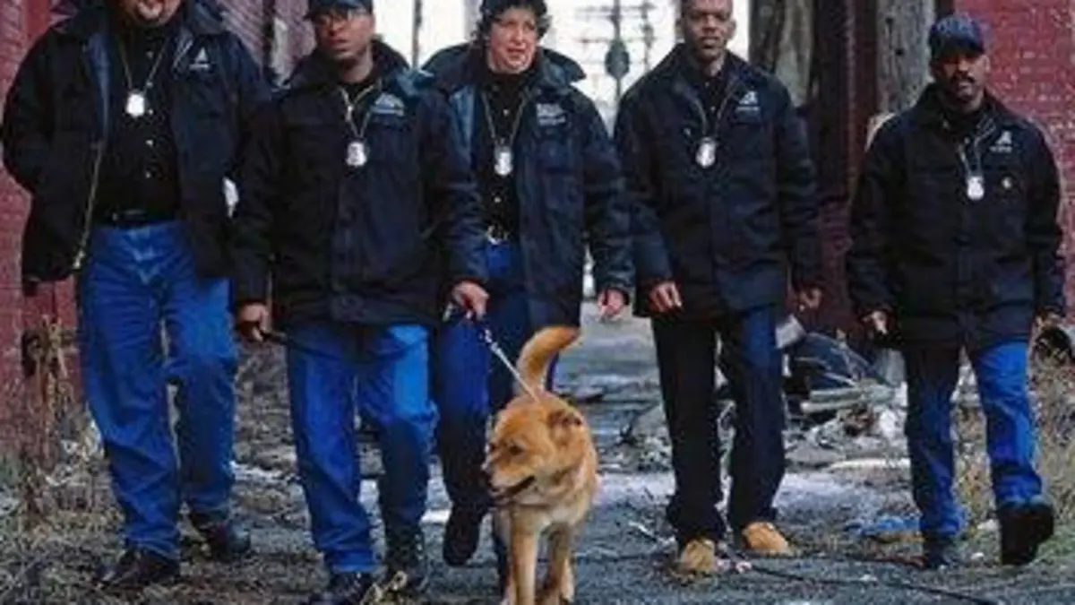 Animal Cops : Phoenix S15E07 Combat de coqs