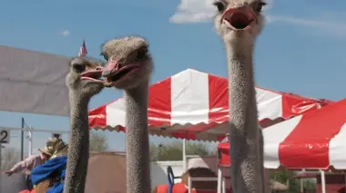 Tragédie dans les caravanes