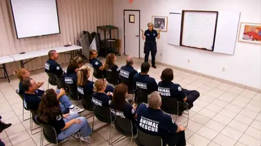 Le mystère de la patte disparue