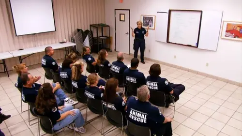 Animal Cops Phoenix Le mystère de la patte disparue