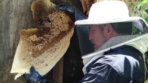 Animal Extractors S01E06 La famille crotale