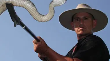 Un serpent en colère