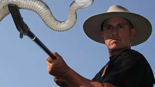 Animal Extractors S01E08 Un serpent en colère