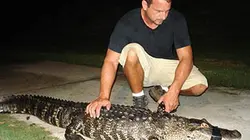 Visuel de Animal Extractors