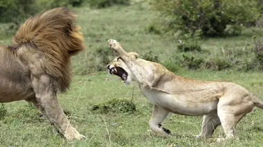 Victoire insoupçonnée