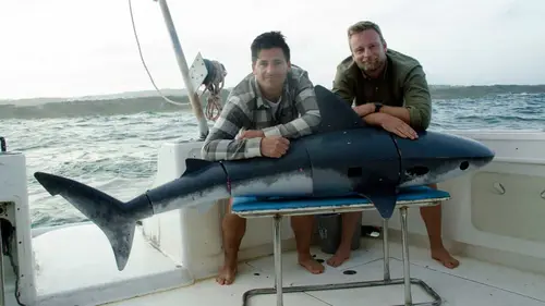 Animal Impossible S01E03 Les requins