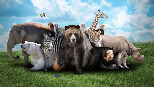 Animal Planet