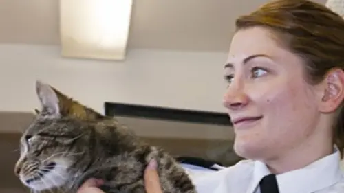 Animal Squad E15 Le sauvetage du cygne