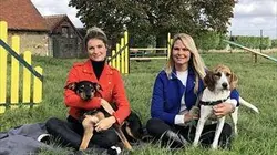 Animaux à adopter S02E17