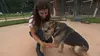 Animaux à adopter : nouvelle famille pour une nouvelle vie