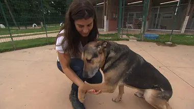 Animaux à adopter : nouvelle famille pour une nouvelle vie