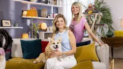 Animaux à adopter : nouvelle famille pour une nouvelle vie