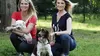 Animaux à adopter : nouvelle famille pour une nouvelle vie