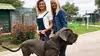 Animaux a adopter saison 2