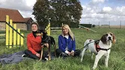 Visuel de Animaux à adopter : nouvelle famille pour une nouvelle vie