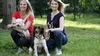 Animaux à adopter