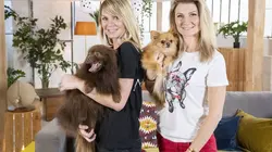 Animaux à adopter : nouvelle famille pour une nouvelle vie