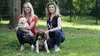 Animaux à adopter : nouvelle famille pour une nouvelle vie
