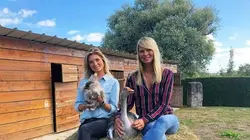 Animaux à adopter : nouvelle famille pour une nouvelle vie