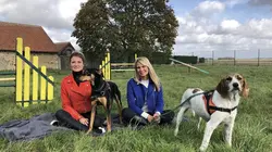 Animaux à adopter : nouvelle famille pour une nouvelle vie