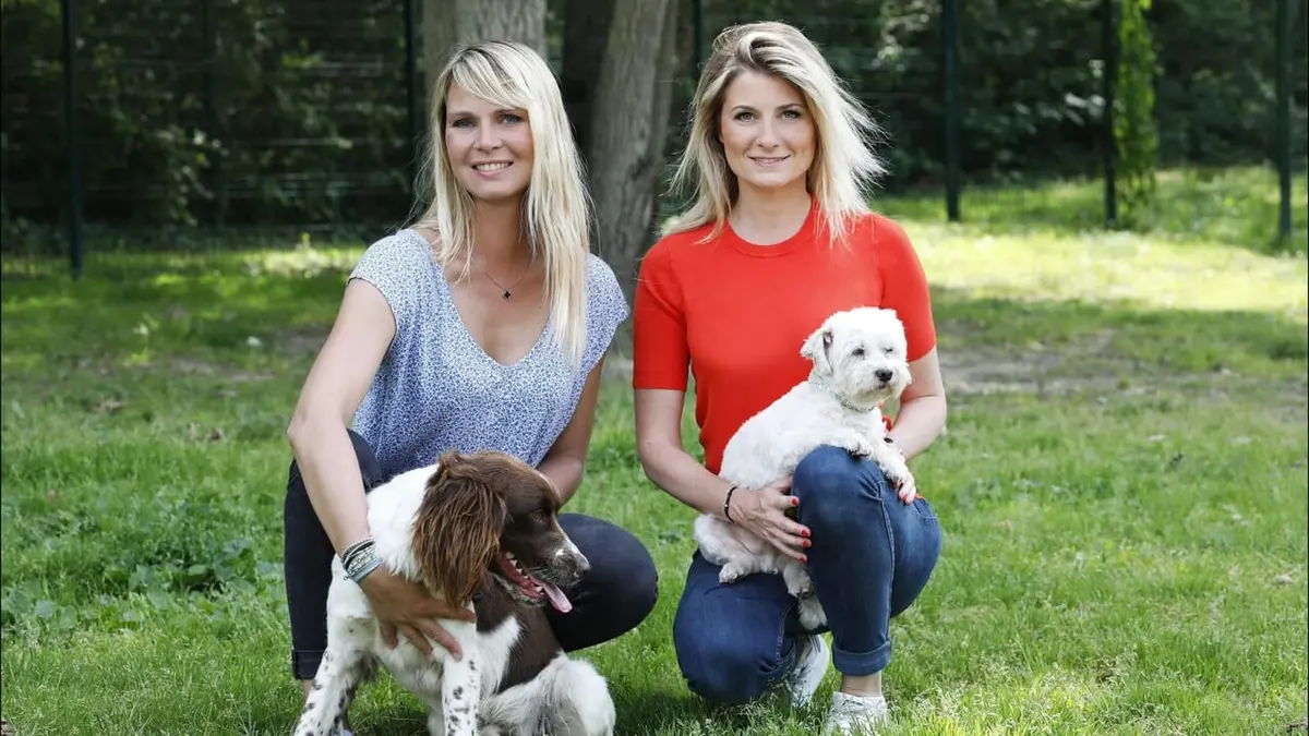 Animaux à adopter : nouvelle famille pour une nouvelle vie Plaisir