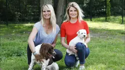 Visuel de Animaux à adopter : nouvelle famille pour une nouvelle vie