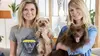 Animaux à adopter : nouvelle famille pour une nouvelle vie