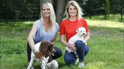 Animaux à adopter : nouvelle famille pour une nouvelle vie