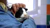 Animaux à adopter : nouvelle famille pour une nouvelle vie