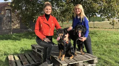 Animaux à adopter : nouvelle famille pour une nouvelle vie Bandit et Yanna